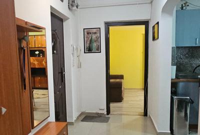 Apartament cu 2 camere decomandat, mobilat în Teiul Doamnei - 4