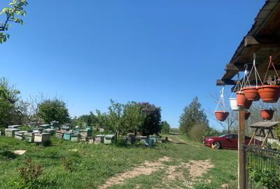 Fermă de vânzare în com. Deleni - DN3 - 10.680 mp - 84 m deschidere - 25