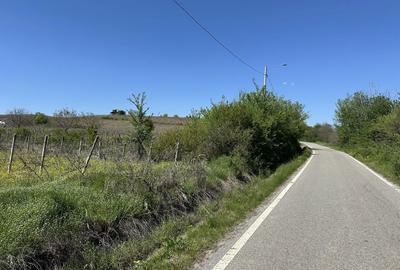 Spațiu comercial, în Drăgășani - 1