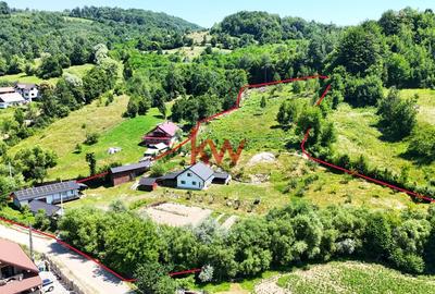 Casa+Teren+Anexe, 10.000 mp in Slatioara, Rasca - 4
