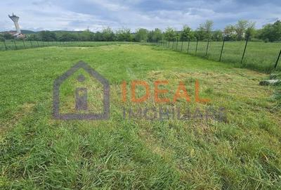 Teren Intravilan 3100 mp, 46 deschidere la strada, in Cristian - 1