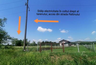 Teren de 500 mp, în Țintea - 4