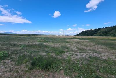 Teren industrial cu PUZ de vânzare in Brașov - 4
