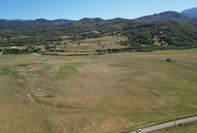 Teren de 14500 mp, în Sud - 18