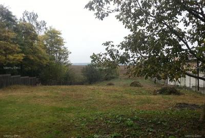 1848mp + posibilitate 700mp, Pipera, Strada Frasari - 3