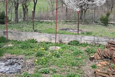 Casă cu 3 camere în Central - 1