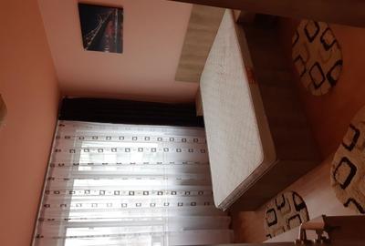 Apartament cu 2 camere decomandat în Drumul Carului - 5