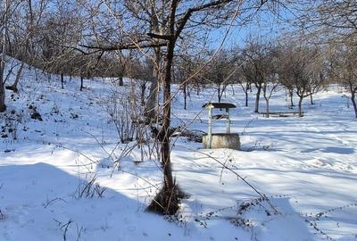 Casa de vanzare in Salistea -800 mp teren - 7