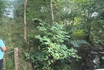 Teren de 1700 mp, în Lerești - 1