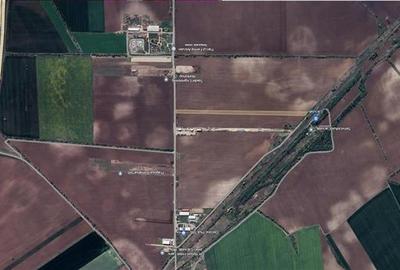 Teren de vanzare  - Caciulati - Ilfov - 6