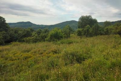 Teren în Central - 3