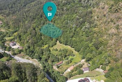 Teren intravilan de 1500 mp pe deal in Moneasa - 6