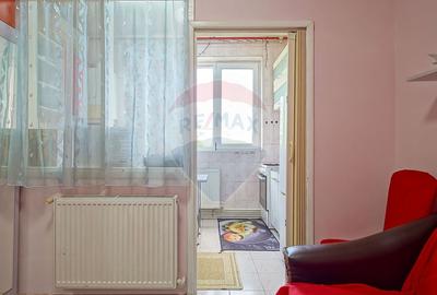 Apartament cu 1 camere semidecomandat, mobilat în Triaj - 10