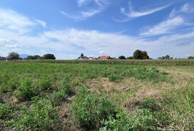 Teren intravilan 500mp- Stupini-Strada Barsei-Cod 4561 - 7