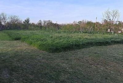 Teren de 800 mp, în Limpeziș - 8
