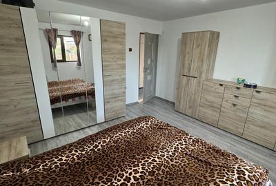 Vanzare Casa cu acces direct la padure in Valea Cucului, Comuna Iordacheanu - 4