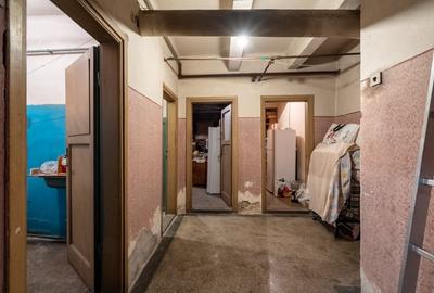 O vila cu prestanta, in Cismigiu - 29