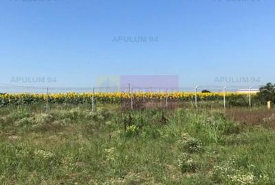 Teren Domnesti- Depozit Emag - 2