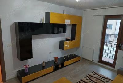 Apartament cu 2 camere decomandat în Valea Lupului - 8