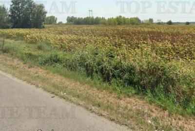 Teren de 219413 mp, în Florești - 7