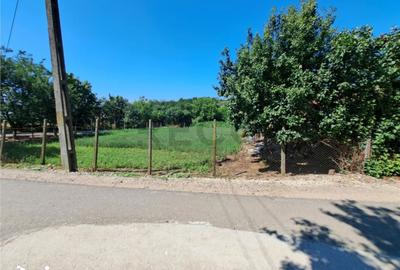 Casă cu 4 camere cu Teren 1439 Mp în Central - 4
