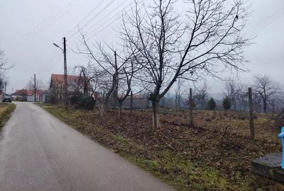 Teren intravilan in Saliste de Beius - 2