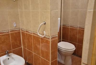 Apartament cu 2 camere decomandat în Malul Mureșului - 8