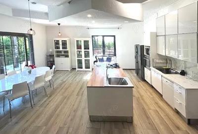 Vila unica pe malul lacului Scrovistea - 2