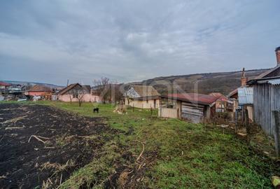 Casă individuală cu 1 camere cu Teren 2844 Mp în Căianu - 6