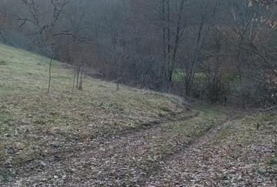 Teren Construcții extravilan de 6900 mp, în Ribița - 2