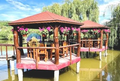 COMPLEX TURISTIC  comuna COSTISA - Afacere la cheie