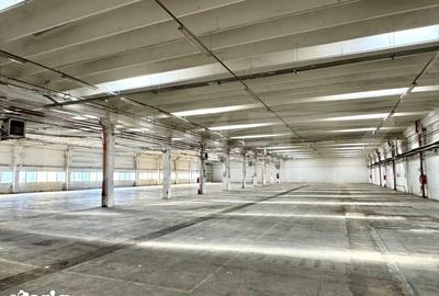 Spațiu comercial, de 2,927 mp, în Tolstoi - 7
