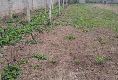 Casă cu 4 camere în Bogdan Vodă - 4