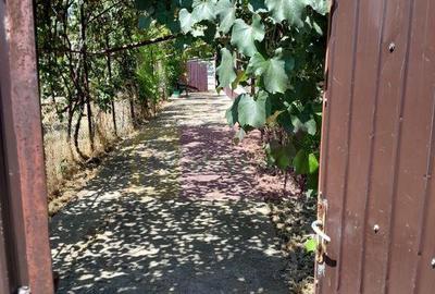 Casă cu 5 camere cu Teren 3837 Mp în Movilița - 2