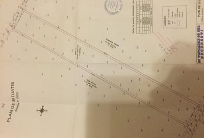 TEREN INTRAVILAN ,INVESTITIE,OTOPENI , PUZ APROBAT, 17000 MP,C.BRANCOVEANU - 5