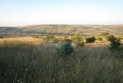 Oportunitate de Investitie - Teren Intravilan 5.700 mp, Chinteni - 4