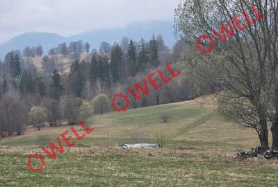 Teren extravilan de 2702 mp, în Vama Buzăului - 2