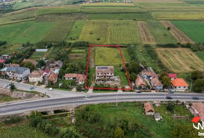 Casă individuală cu 10 camere cu Teren 4987 Mp în Iclod - 5