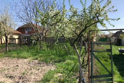 Casă cu Teren 3000 Mp în Ianoșda - 6