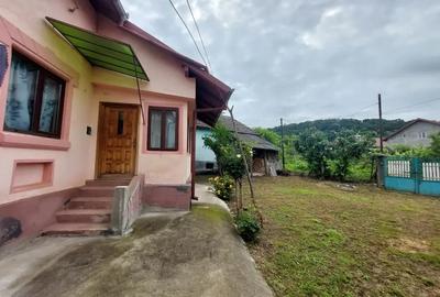 Vand gospodarie Comuna Budesti , Valcea - 4