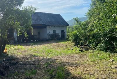 Casă cu 3 camere în Brănișca - 5