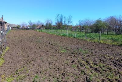 Casă individuală cu 5 camere cu Teren 1250 Mp în Ciupercenii Noi - 5