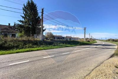 Teren de 8621 mp, în Periferie - 5