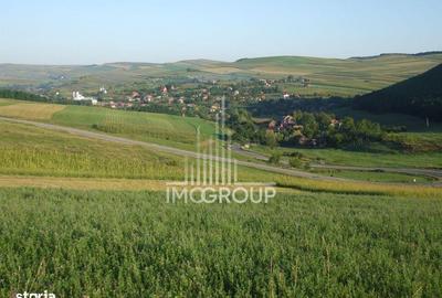 Casă cu 4 camere cu Teren 1000 Mp în Frata - 3