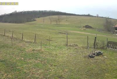 Casă cu 3 camere în Ardud - 8