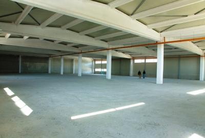 Spațiu industrial, de 12,100 mp, în Bolintin-Deal - 5