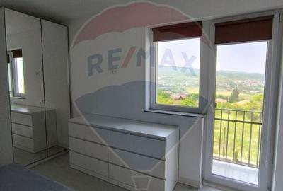 Casa 4 camere de inchiriat in Borhanci - 24