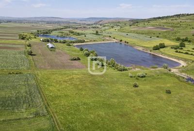 Teren Construcții intravilan de 16000 mp, în Costâna - 3