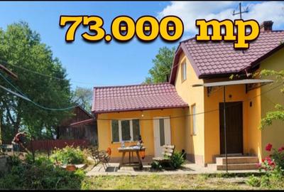 Casă cu 4 camere cu Teren 60000 Mp în Zvoriștea - 3