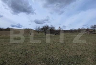 Teren de 2800 mp, în Central